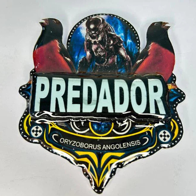 PLACA DE CURIÓ PERSONALIZADA EM 3D COM NOME DO PÁSSARO