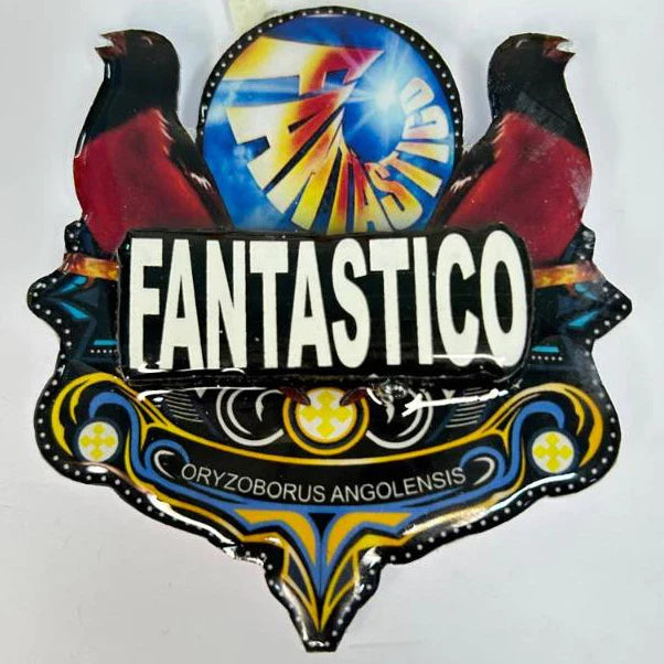 PLACA DE CURIÓ PERSONALIZADA EM 3D COM NOME DO PÁSSARO