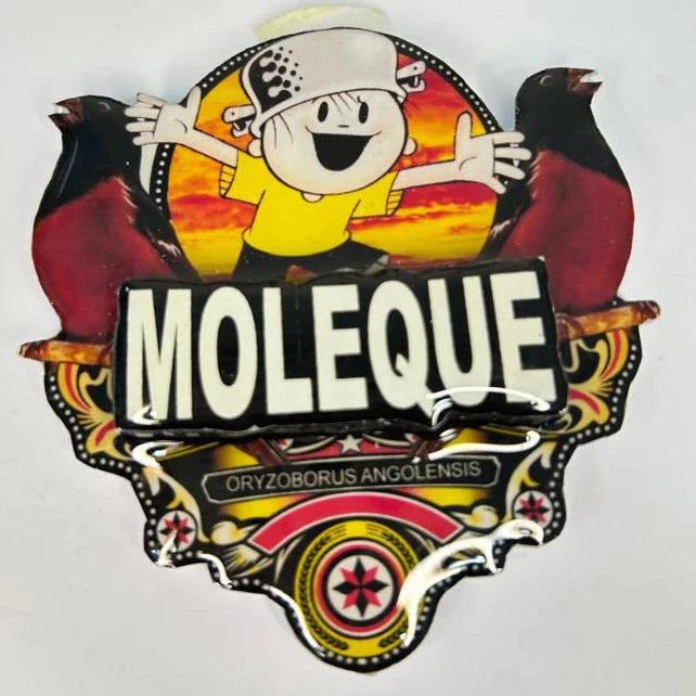 PLACA DE CURIÓ PERSONALIZADA EM 3D COM NOME DO PÁSSARO