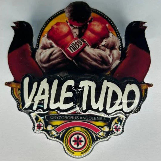 PLACA DE CURIÓ PERSONALIZADA EM 3D COM NOME DO PÁSSARO