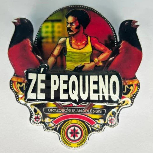 PLACA DE CURIÓ PERSONALIZADA EM 3D COM NOME DO PÁSSARO