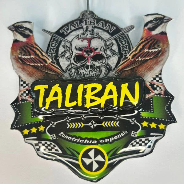 PLACA DE TICO TICO PERSONALIZADA EM 3D COM O NOME DO PÁSSARO