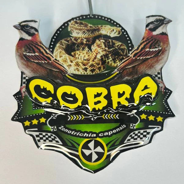 PLACA DE TICO TICO PERSONALIZADA EM 3D COM O NOME DO PÁSSARO