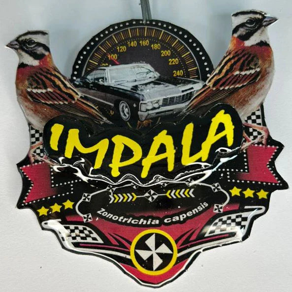 PLACA DE TICO TICO PERSONALIZADA EM 3D COM O NOME DO PÁSSARO