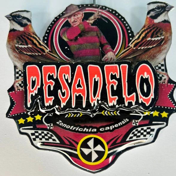 PLACA DE TICO TICO PERSONALIZADA EM 3D COM O NOME DO PÁSSARO