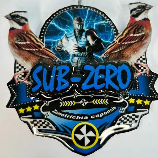 PLACA DE TICO TICO PERSONALIZADA EM 3D COM O NOME DO PÁSSARO