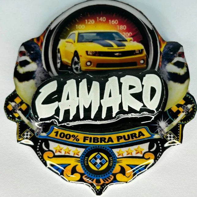 PLACA DE COLEIRO PAULISTA PERSONALIZADA EM 3D COM O NOME DO PÁSSARO