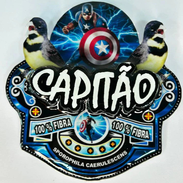 PLACA DE COLEIRO PAULISTA PERSONALIZADA EM 3D COM O NOME DO PÁSSARO