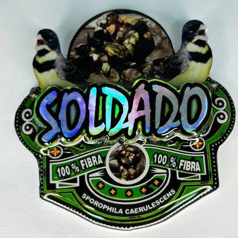 PLACA DE COLEIRO PAULISTA PERSONALIZADA EM 3D COM O NOME DO PÁSSARO