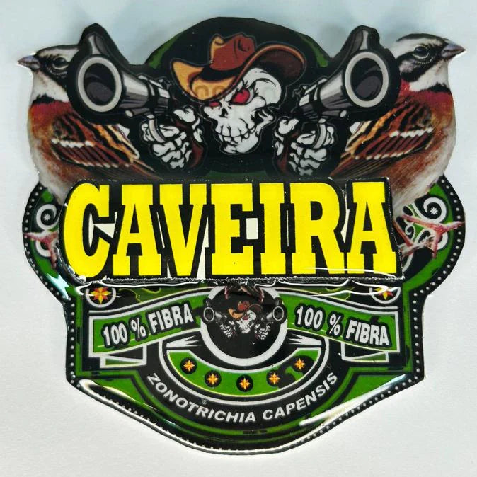 PLACA DE TICO TICO PERSONALIZADA EM 3D COM O NOME DO PÁSSARO