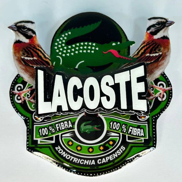 PLACA DE TICO TICO PERSONALIZADA EM 3D COM O NOME DO PÁSSARO