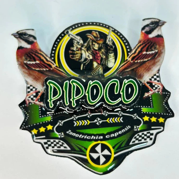 PLACA DE TICO TICO PERSONALIZADA EM 3D COM O NOME DO PÁSSARO