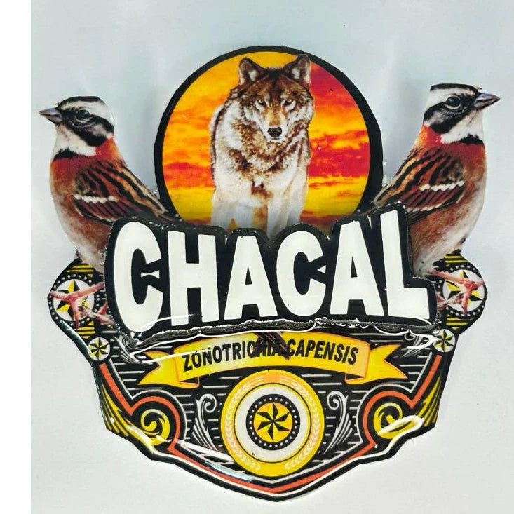 PLACA DE TICO TICO PERSONALIZADA EM 3D COM O NOME DO PÁSSARO