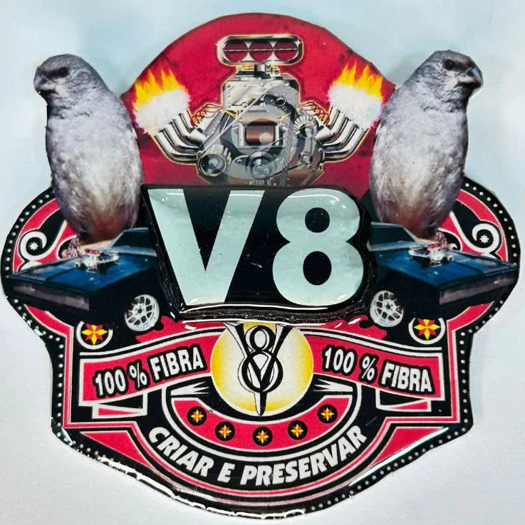 PLACA EM 3D DE PATATIVA PERSONALIZADA COM NOME DO PÁSSARO