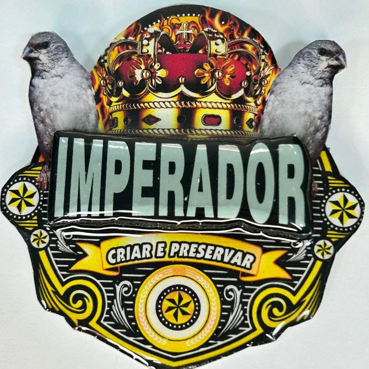 PLACA EM 3D DE PATATIVA PERSONALIZADA COM NOME DO PÁSSARO