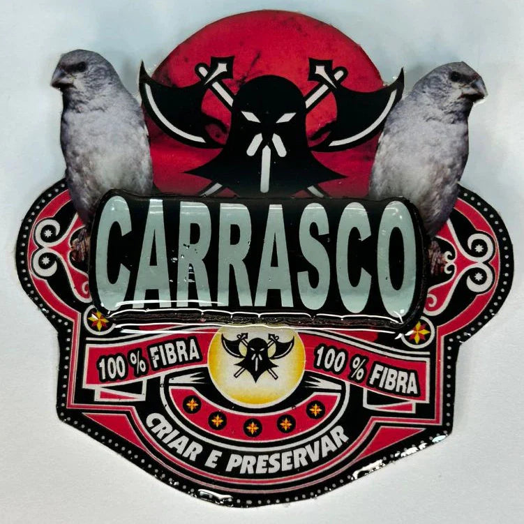 PLACA EM 3D DE PATATIVA PERSONALIZADA COM NOME DO PÁSSARO