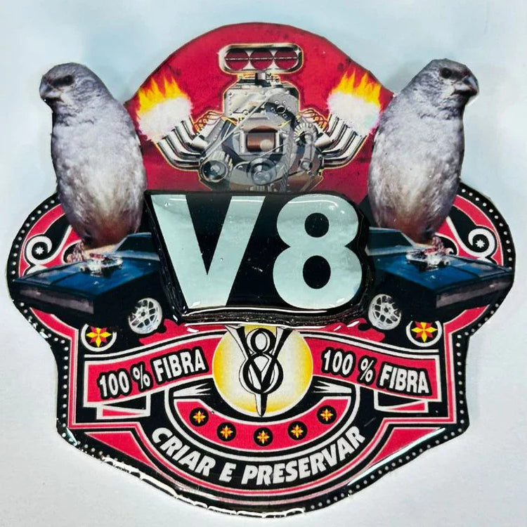 PLACA EM 3D DE PATATIVA PERSONALIZADA COM NOME DO PÁSSARO