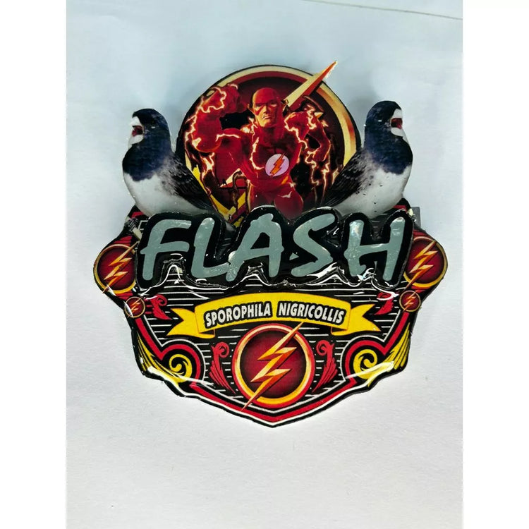 PLACA DE BAIANO P. BRANCO PERSONALIZADA EM 3D COM O NOME DO PÁSSARO