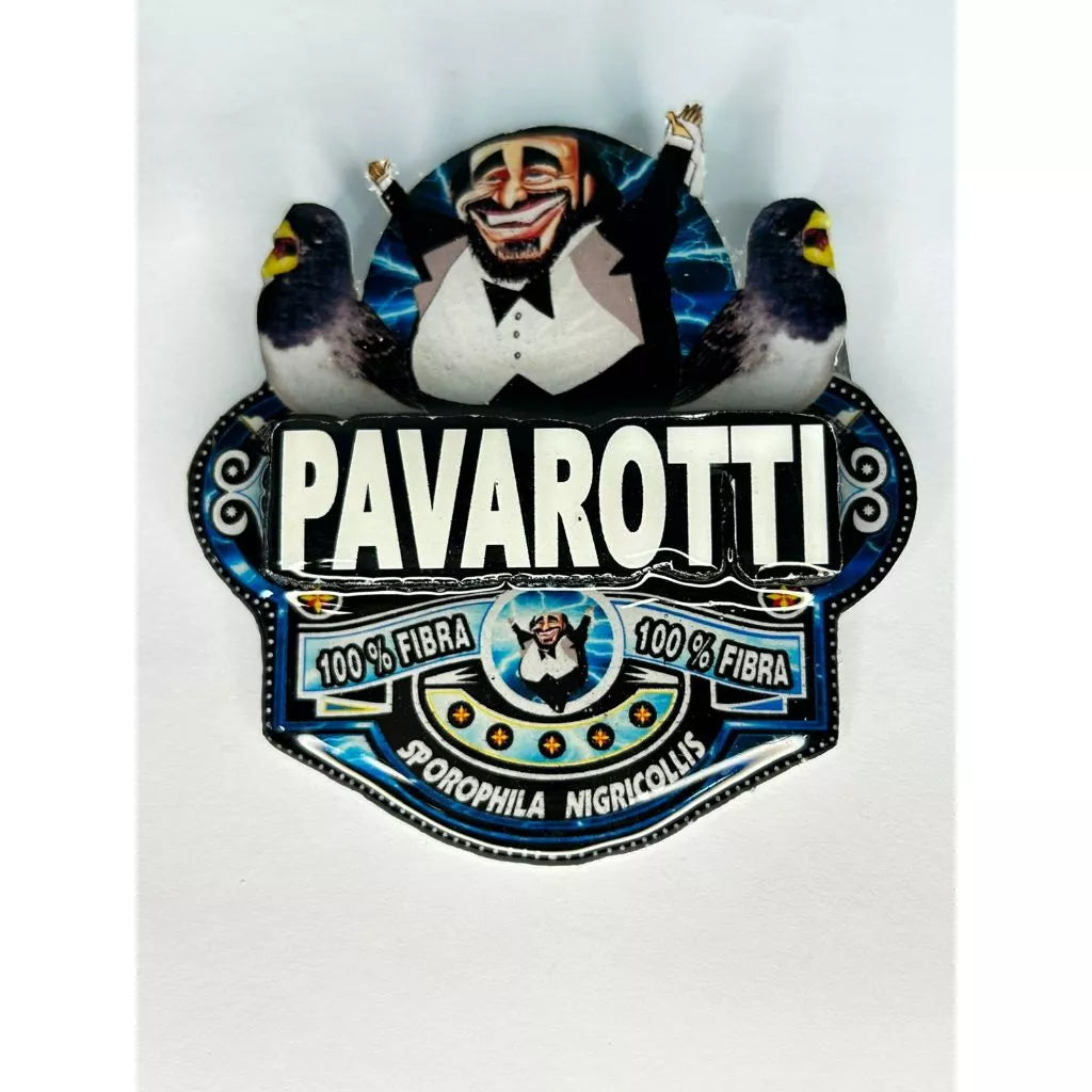 PLACA DE BAIANO P. BRANCO PERSONALIZADA EM 3D COM O NOME DO PÁSSARO