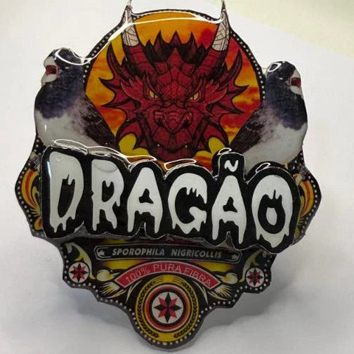 PLACA DE BAIANO P. BRANCO PERSONALIZADA EM 3D COM O NOME DO PÁSSARO