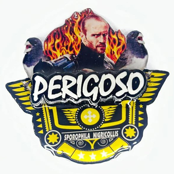 PLACA DE BAIANO P. BRANCO PERSONALIZADA EM 3D COM O NOME DO PÁSSARO