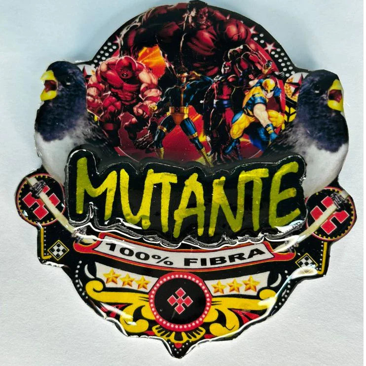 PLACA DE BAIANO P. BRANCO PERSONALIZADA EM 3D COM O NOME DO PÁSSARO