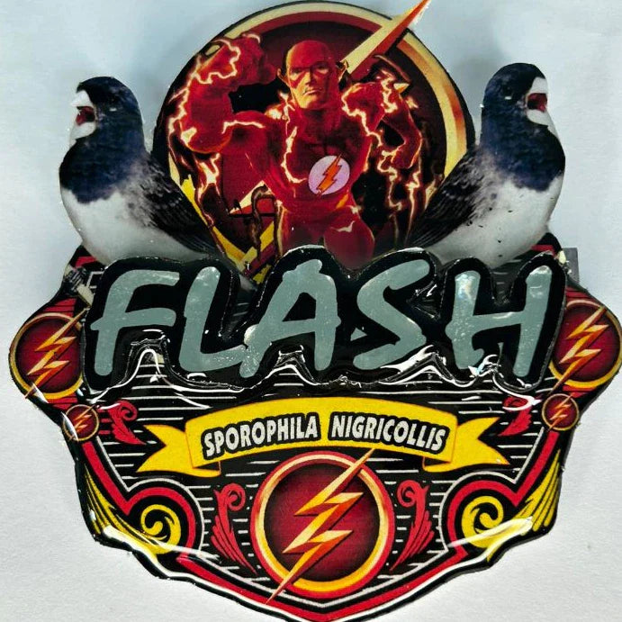 PLACA DE BAIANO P. BRANCO PERSONALIZADA EM 3D COM O NOME DO PÁSSARO