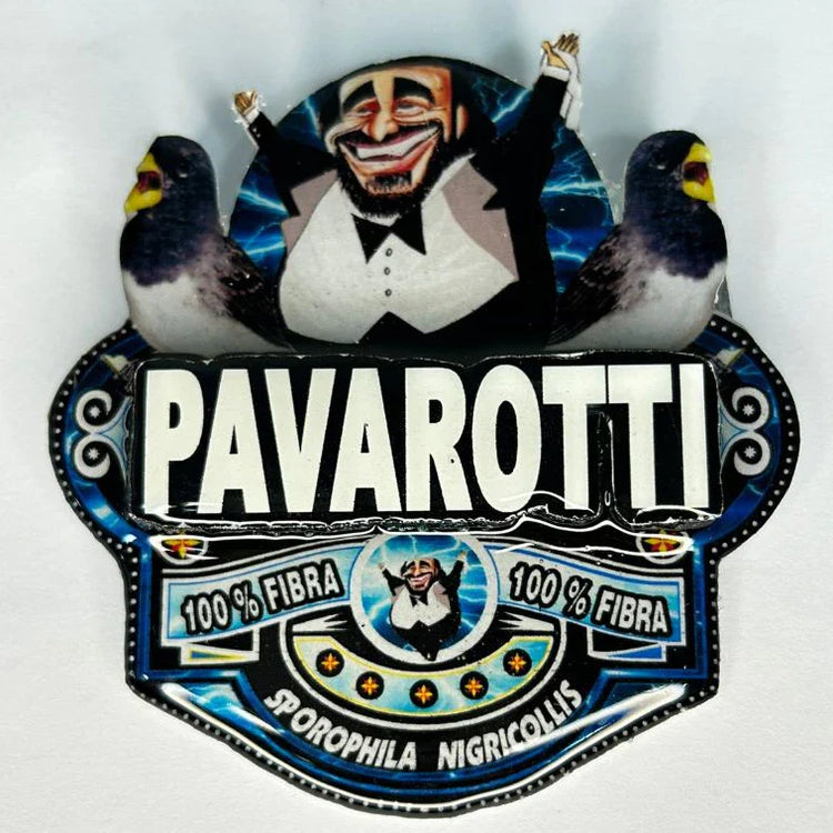 PLACA DE BAIANO P. BRANCO PERSONALIZADA EM 3D COM O NOME DO PÁSSARO