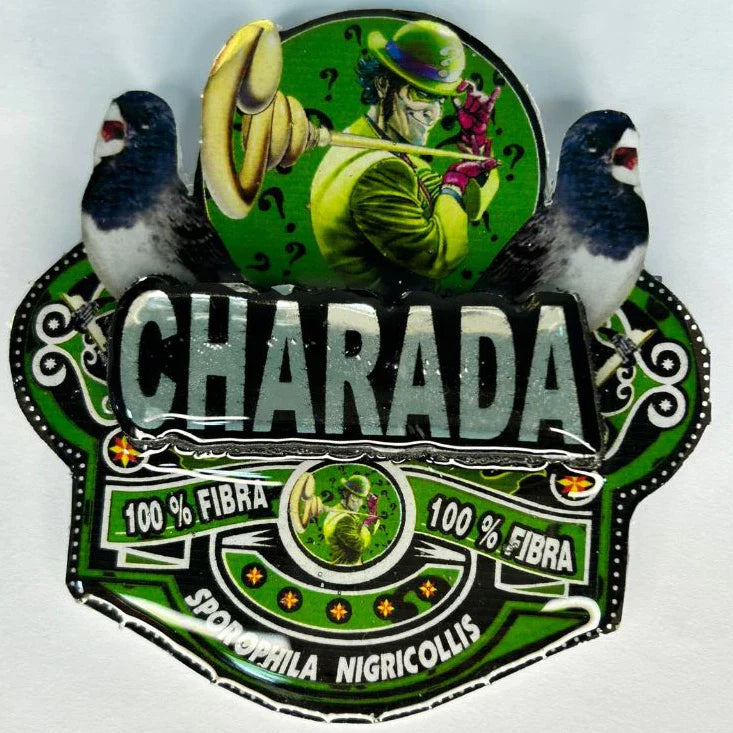 PLACA DE BAIANO P. BRANCO PERSONALIZADA EM 3D COM O NOME DO PÁSSARO