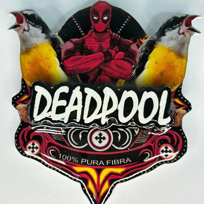 PLACA DE SIBITE PERSONALIZADA EM 3D COM NOME DO PÁSSARO