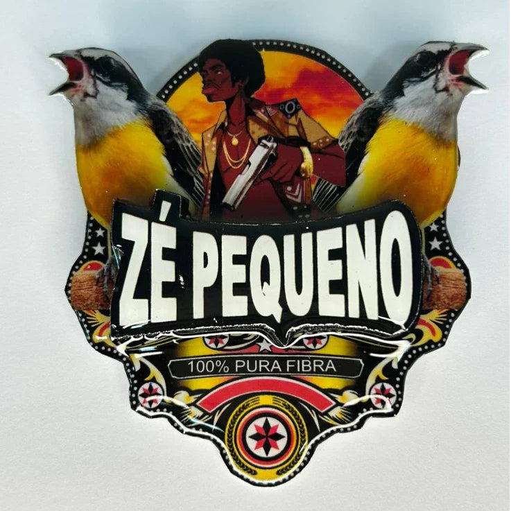 PLACA DE SIBITE PERSONALIZADA EM 3D COM NOME DO PÁSSARO