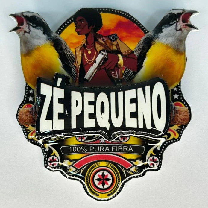 PLACA DE SIBITE PERSONALIZADA EM 3D COM NOME DO PÁSSARO