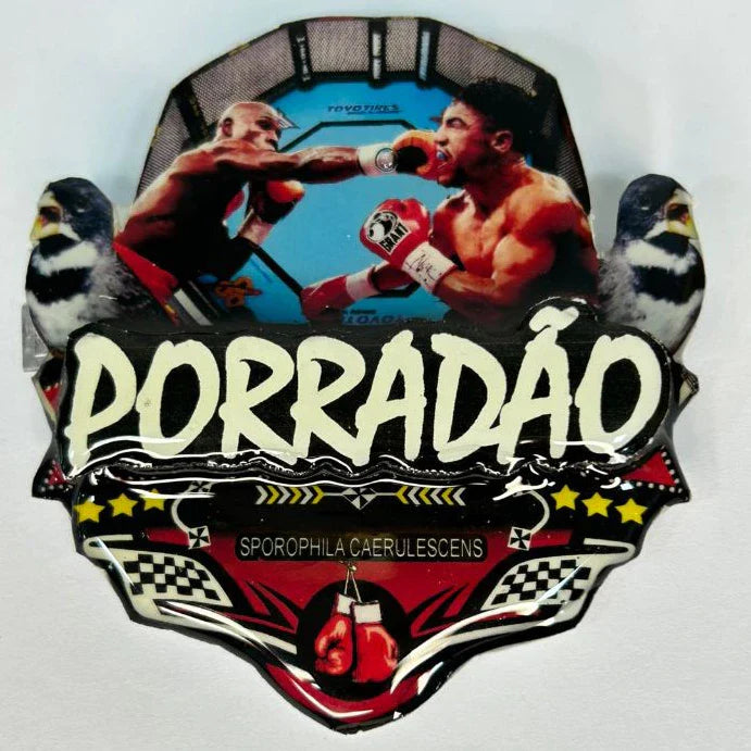 PLACA DE COLEIRO  PERSONALIZADA EM 3D COM NOME DO PÁSSARO