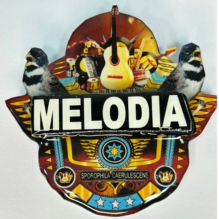 PLACA DE COLEIRO  PERSONALIZADA EM 3D COM NOME DO PÁSSARO