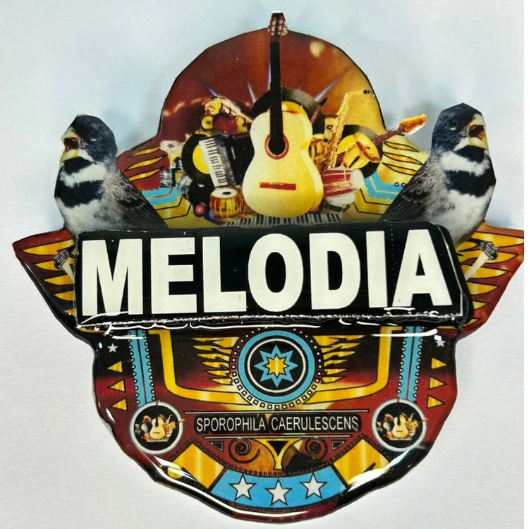 PLACA DE COLEIRO  PERSONALIZADA EM 3D COM NOME DO PÁSSARO