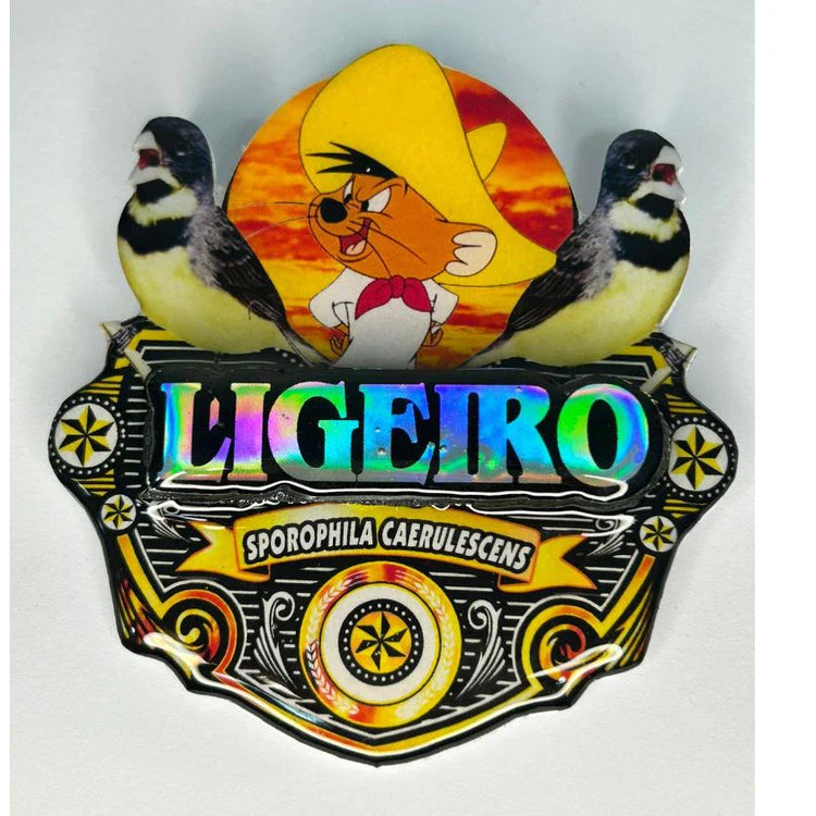 PLACA DE COLEIRO PAULISTA PERSONALIZADA EM 3D COM O NOME DO PÁSSARO