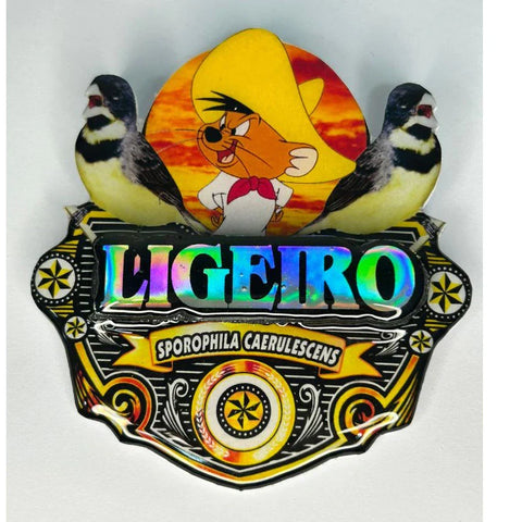 PLACA DE COLEIRO PAULISTA PERSONALIZADA EM 3D COM O NOME DO PÁSSARO