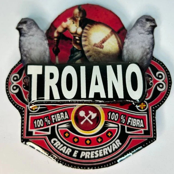 PLACA EM 3D DE PATATIVA PERSONALIZADA COM NOME DO PÁSSARO