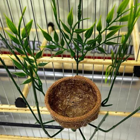 KIT - 5 Ninhos REALEZA para coleiro, em fibra de coco