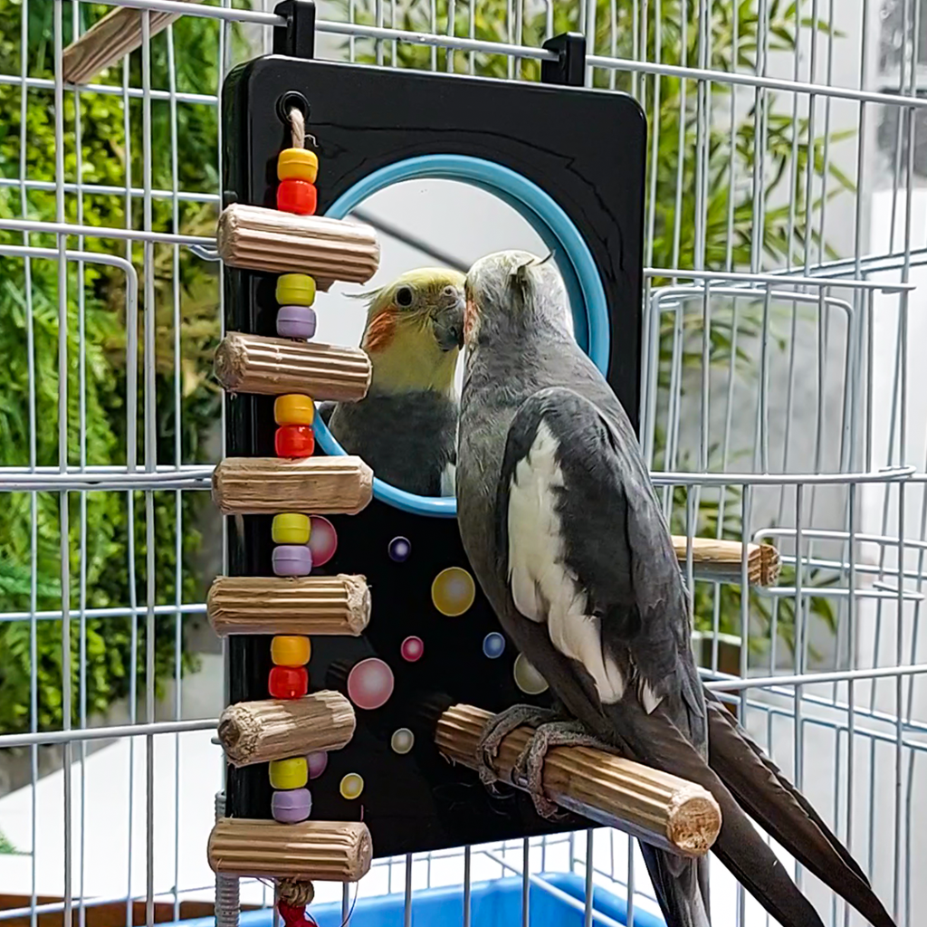 Espelho Decorado para Psitacídeos | Brinquedo para Pássaros