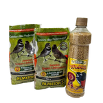 KIT - 2 COLEIRO ALTA PERFORMANCE + 1 ALCON WINNER