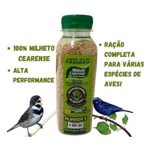 Combo econômico: 3 MILHETO CEARENSE ALTA PERFORMANCE