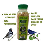 Combo econômico: 3 MILHETO CEARENSE ALTA PERFORMANCE