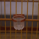 PORTA VITAMINA RUBI PEQUENO COM PRESILHA COBRE R1.1 PCT C/10